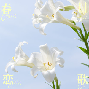收聽imase的NIGHT DANCER歌詞歌曲