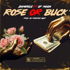 收聽Bamidele的Rose or Buck (feat. EF Moon) (Explicit)歌詞歌曲