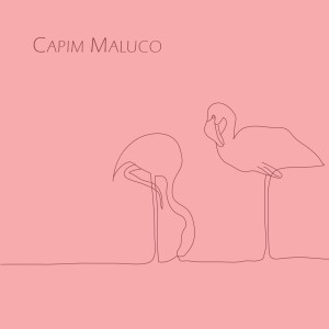 อัลบัม Flamingo ศิลปิน Capim Maluco