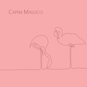 ดาวน์โหลดและฟังเพลง Fool พร้อมเนื้อเพลงจาก Capim Maluco