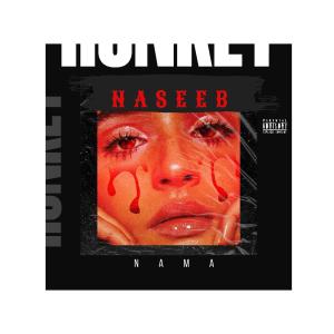 ดาวน์โหลดและฟังเพลง NASEEB (Explicit) พร้อมเนื้อเพลงจาก Nama