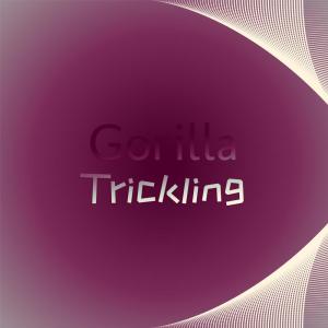 อัลบัม Gorilla Trickling ศิลปิน Various