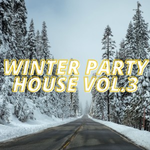 Various Artists的專輯Winter Party House Vol.3