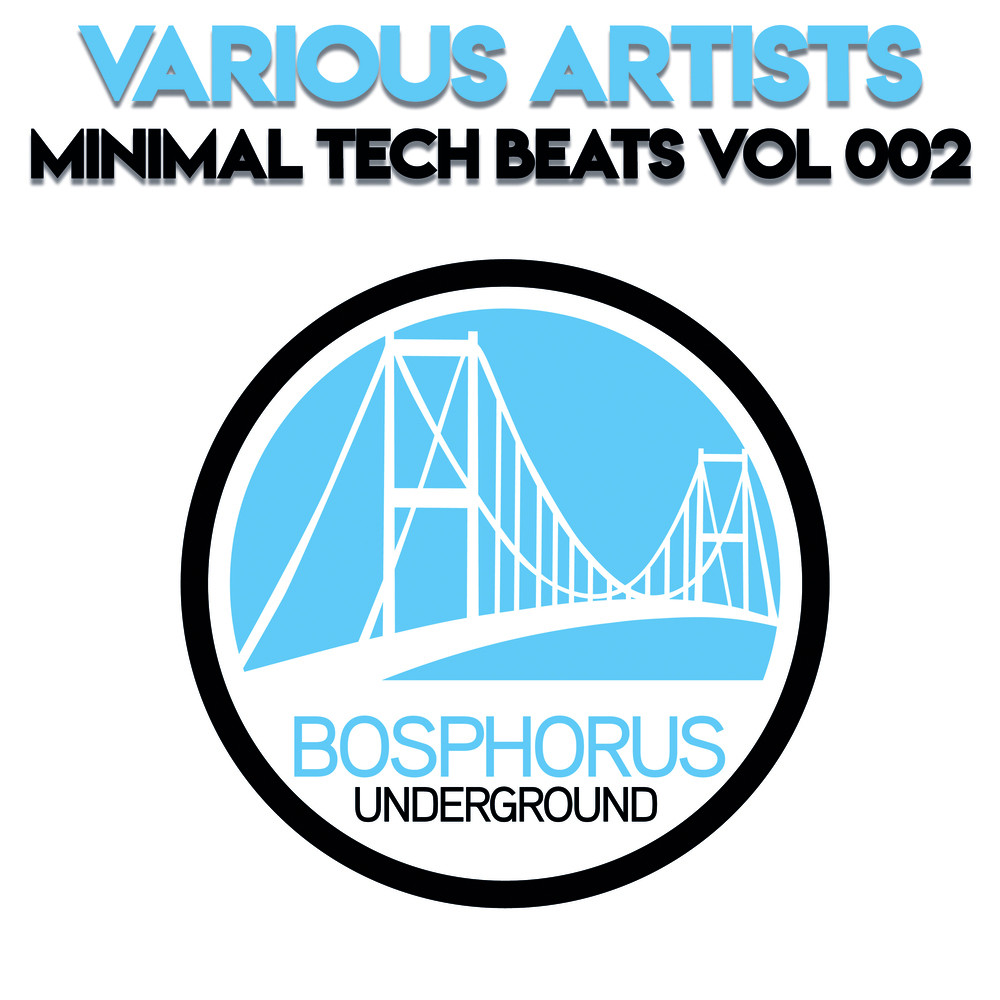 Techno Bitch