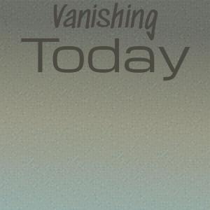 Various Artists的專輯Vanishing Today