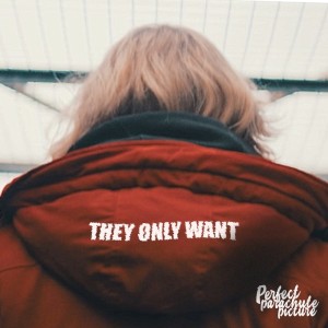 收听Perfectparachutepicture的They Only Want歌词歌曲