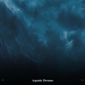 Album !!!!" Aquatic Dreams "!!!! from 