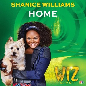 ดาวน์โหลดและฟังเพลง Home (Single Version) พร้อมเนื้อเพลงจาก Shanice Williams