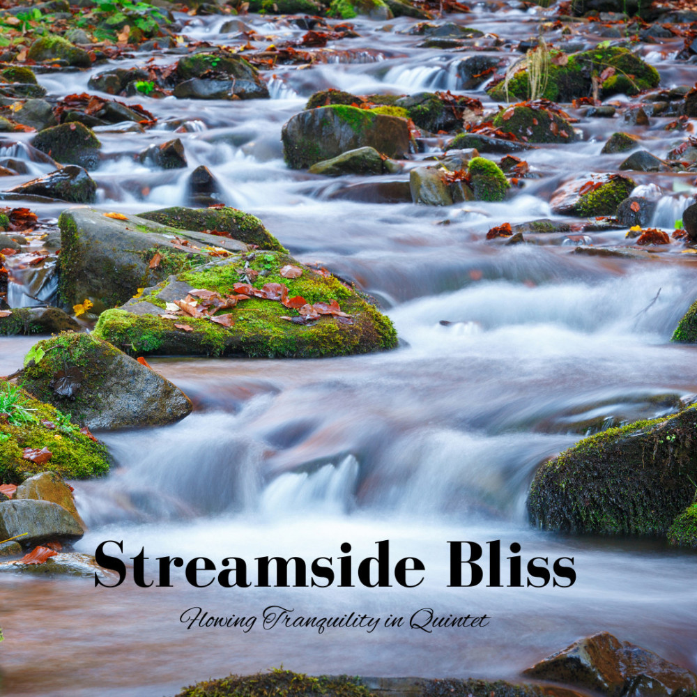 Reflections in Streamside Bliss