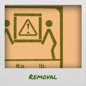 Album Removal oleh Various