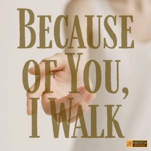 Album Because of You, I Walk from Sousou