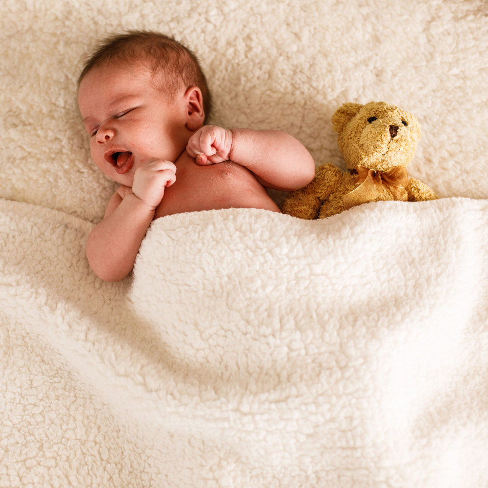 Dreamy Cradle Mesmeric Dreams