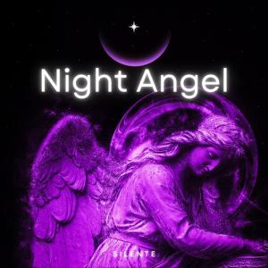 Silente的专辑Night Angel (A Piano Journey)