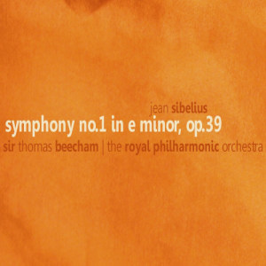 收聽Royal Philharmonic Orchestra的Symphony No. 1 in E Minor, Op. 39: I. Andante, ma non troppo - Allegro energico歌詞歌曲