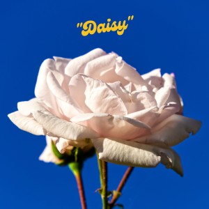 收聽Delorians的Daisy歌詞歌曲