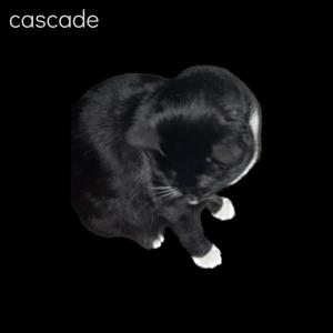 อัลบัม Cascade (Black Album) ศิลปิน CASCADE