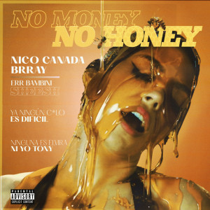 Album No Money No Honey from Nico Canada