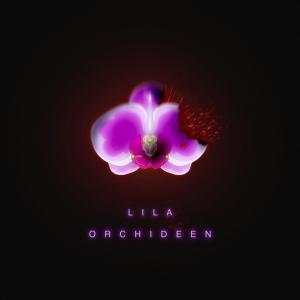 收聽KONEKTED的LILA ORCHIDEEN (feat. BREEM)歌詞歌曲
