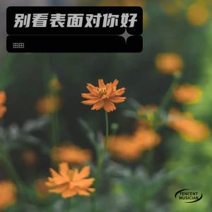 Album 别看表面对你好 from 田田