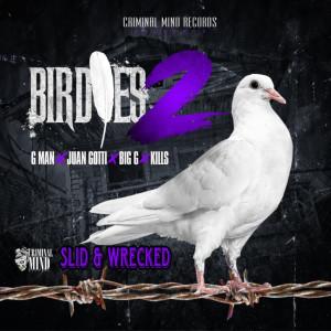 GMAN的专辑Birdies 2 Slid & Wrecked (Explicit)