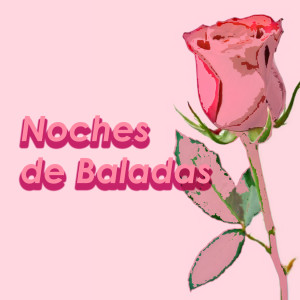 Album Noches De Baladas oleh Various Artists