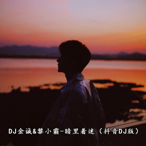 Album 暗里着迷(抖音DJ版) oleh Dj金诚