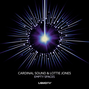 ดาวน์โหลดและฟังเพลง Empty Spaces พร้อมเนื้อเพลงจาก Cardinal Sound