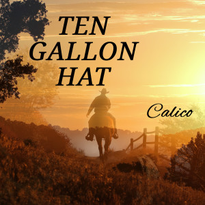 Listen to Ten Gallon Hat song with lyrics from Calico
