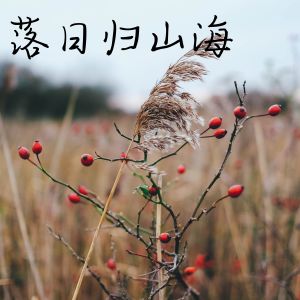 อัลบัม 落日归山海 ศิลปิน 张酷