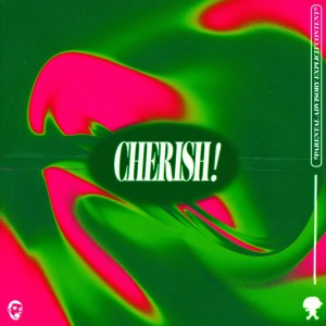 Listen to CHERISH (Explicit) song with lyrics from Rilla Force