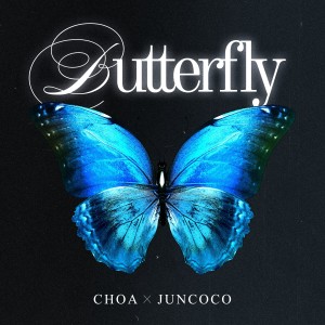 ดาวน์โหลดและฟังเพลง Butterfly พร้อมเนื้อเพลงจาก CHOA