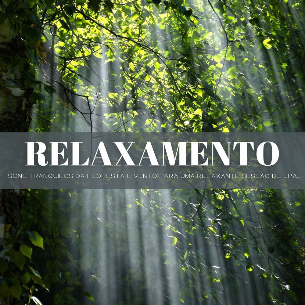Relaxamento Em Processo