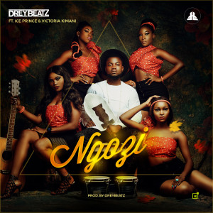 Listen to Ngozi (Explicit) song with lyrics from Drey Beatz