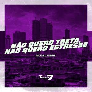 Album Nao Quero treta,Nao Quero estresse (Explicit) from MC GW