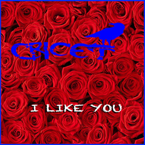 Album I Like You from Cricet