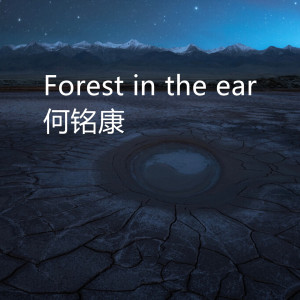 Listen to Forest in the ear song with lyrics from 何铭康