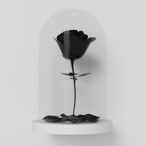 ดาวน์โหลดและฟังเพลง Nossa Regra (Rosa Negra) พร้อมเนื้อเพลงจาก Beiro