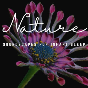 Baby Shusher的專輯Gentle Cooing: Soundscapes for Infant Sleep
