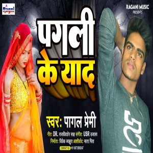 收听Pagal Premi的Pagali Ke Yaad (Bhojpuri Song)歌词歌曲