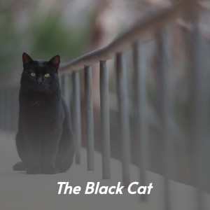 收听Bobby Hackett的The Black Cat歌词歌曲