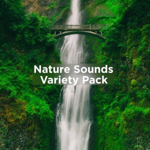 收听White Noise Meditation的Pink Noise & Nature歌词歌曲
