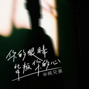 半吨兄弟的专辑你的眼睛背叛了你的心(DJ九零版)