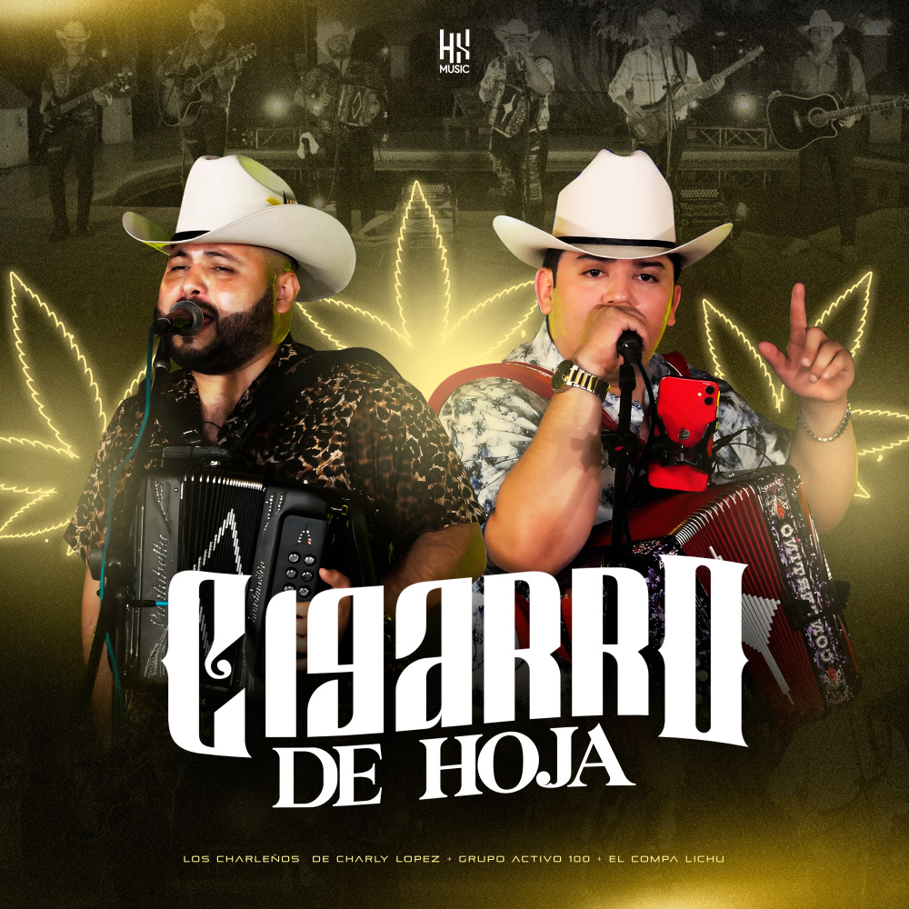 Cigarro de Hoja