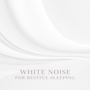 อัลบัม White Noise for Restful Sleeping (Peaceful Night with Relaxation Sounds, Natural Sleep Aid for Insomnia) ศิลปิน Night White Noise Universe