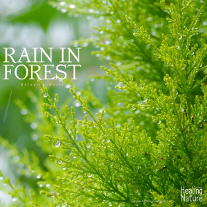 Listen to Cloud Sky and Showers 2 song with lyrics from 힐링 네이쳐 Nature Sound Band