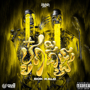 ดาวน์โหลดและฟังเพลง BOK KALO (Explicit) พร้อมเนื้อเพลงจาก VannDa