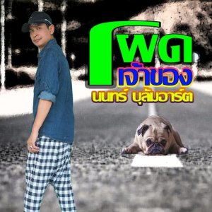 อัลบัม โผดเจ้าของ ศิลปิน นนทร์ บุลัมอาร์ต