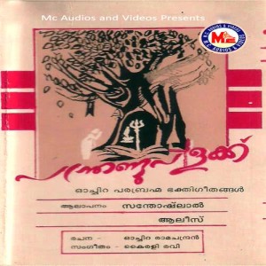 ดาวน์โหลดและฟังเพลง Parachipetta Panthirukulam พร้อมเนื้อเพลงจาก Aliz