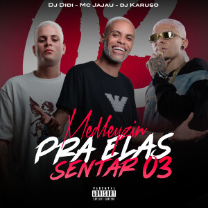 收聽DJ Didi的Medleyzin pra elas sentar 3 (Explicit)歌詞歌曲