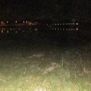 Leapyear的專輯im still here